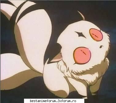 kirara sango primito kirara tatal kirara are cozi LoVe ChRiStMaS