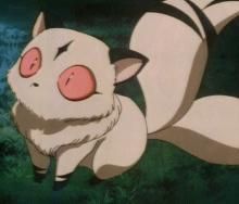 kirara dragutzaa LoVe ChRiStMaS